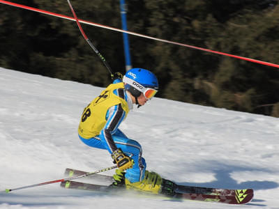 Bezirkscup Kinder / Cross / 22.02.2020 Teil 2 Bild 501